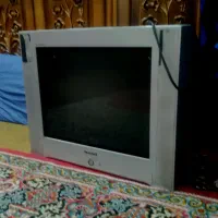 تلویزیون