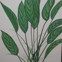 سه عدد تابلوی رنگ روغن ۶۰×۹۰|تابلو، نقاشی، عکس|تهران, سازمان آب|دیوار