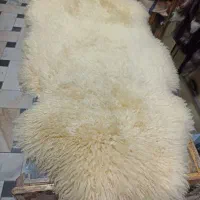 پوست گوسفند ، گوسفندی نژاد مرینوس (وارداتی)