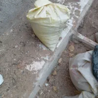 کود جوجه محلی