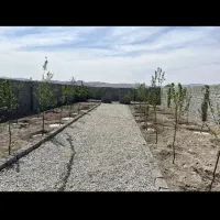 باغچه ۲۲۰ متری/ چهاردیواری/ با انشعابات جلوی ملک|فروش زمین و ملک کلنگی|اسلامشهر, شهرک احمدیه|دیوار