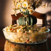 تهیه انواع سالاد ماکارونی و الویه الیپا
