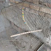 قفس پرنده 100و200|لوازم جانبی حیوانات|ماکو, |دیوار