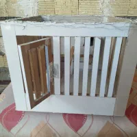 لانه پرنده|پرنده|آبدانان, |دیوار