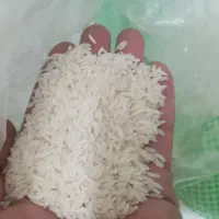 برنج هاشمی درجه یک دو الکه ارگانیک