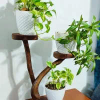 فروش و ساخت انواع صنایع چوبی شلف استند و جاکلیدی