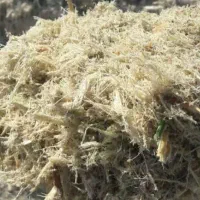 کاه نیشکر یا باگاس|لوازم جانبی حیوانات|ساری, |دیوار