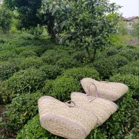 هنر دست|صنایع دستی و سایر لوازم تزئینی|محمدشهر, ولدآباد|دیوار