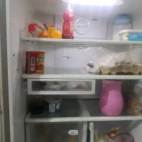 یخچال فریزر سامسونگ کره ای اصل|یخچال و فریزر|شیراز, شریفآباد|دیوار