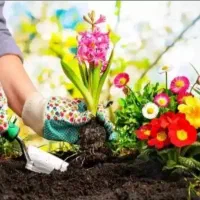 خدمات باغبانی کاشت گل های چهار فصلی تمام نقاط