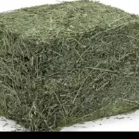یونجه