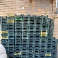 فروش سبد ۲ کیلویی رطب