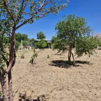 باغ جاده غیاث آباد و گزنهله|فروش دفتر صنعتی، کشاورزی، تجاری|سنقر, |دیوار