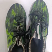 کفش|کیف، کفش، کمربند|سراوان, |دیوار