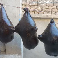 هزینه نو و خوش بو