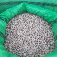 لوبیا چیتی و قرمز درجه یک