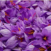 سوال درمورد زعفران