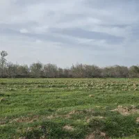 1000متر-عرض25-تودلی-ام3-رادفر