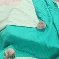 زنانه|لباس|جوانرود, |دیوار