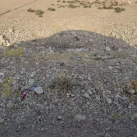 زمین در.یمی