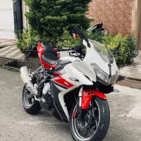 بنلی ریس ۳۰۰ واقعی در حد