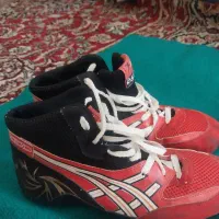 کفش کشتی