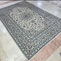 فرش|فرش|بجنورد, |دیوار