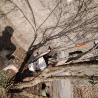 قو غاز وغاز