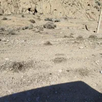 خریدار-زمین-بسیجیان-یا-شهرک-ولایت