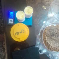 ژل رویال خالص آذربایجان|آرایشی، بهداشتی، درمانی|مراغه, |دیوار