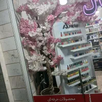 گل ایستاده صورتی سفید