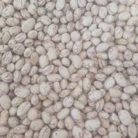 نخود محلی و بادام سنگی دزکرد اقلید کشمش پلو|خوردنی و آشامیدنی|شیراز, کوشک میدان|دیوار