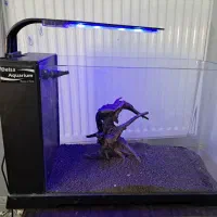 آکواریوم دلسا b103