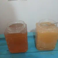 عسل طبیعی کوهستان رس بسته و بدونه رس|خوردنی و آشامیدنی|صالح آباد, |دیوار