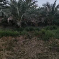 فروش 6ساعت آب با 4هکتار زمین کشاورزی