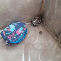 عالی|اشیا|فردوس (خراسان), |دیوار