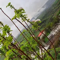 اجاره آپارتمان ۴۷ متری ۱ خوابه طبقه ۴ در سنگلج