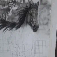 طراحی چهره تابلوهای دکوراتیو|تابلو، نقاشی، عکس|دوگنبدان, |دیوار