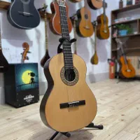 گیتار پارسی