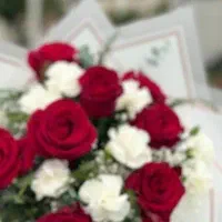 لوازم کامل رزین