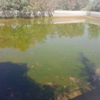 فروش زمین ویلایی|فروش خانه و ویلا|ممقان, |دیوار