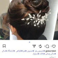 شینیون ،هزینه مواد ۱۰۰