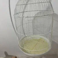 قفس عروس هلندی|لوازم جانبی حیوانات|هشتگرد, شهرک بعثت|دیوار