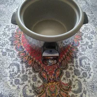 پلوپز آرام پز برقی نو