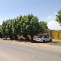 مرغداری و دامداری و سوله صنعتی وباغ پسته ومیوه