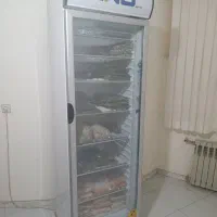 فریزر صنعتی کینو