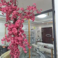 اجاره لاین و اجاره کافه