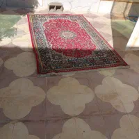 فرش / قالیچه ماشینی|فرش|شیراز, شهرک استقلال|دیوار