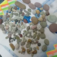 عجیب ولی واقعی زیبا وقشنگ سنگ فرش جالب|کلکسیون و سرگرمی|ابهر, |دیوار