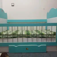 تخت کودک|تخت و صندلی بچه|قم, انسجام|دیوار